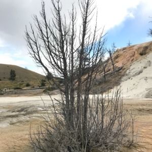 Meet your Posher, Margot